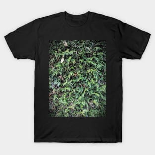 Hedge T-Shirt